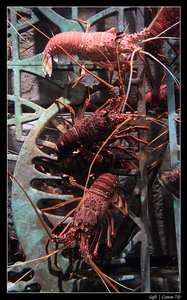 2012 - 06 - Dubai - 029